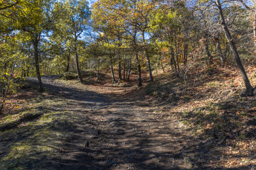 Serenity Trail in Etna Woods