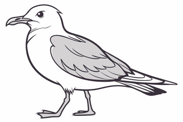  Hand-Drawn Seagull Illustration: Coastal Bird Art & Nature Sketch