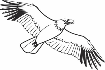 Obraz premium Majestic Flying Eagle Outline: Bird of Prey Clipart