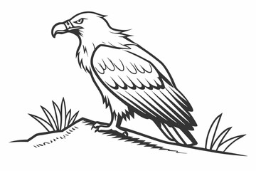  Majestic Bald Eagle Standing: Detailed Bird of Prey Illustration