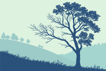  Elegant Arbutus Tree Clipart: Detailed Botanical Illustration