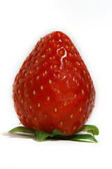 딸기, 과일, 매크로 촬영, 제품 사진, 마크로