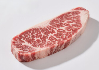 고기 날것 돼지고기 소고기 스테이크 Meat Raw Pork Beef Steak