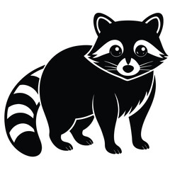 raccon vector