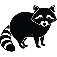 raccon vector