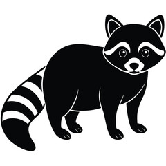 raccon vector