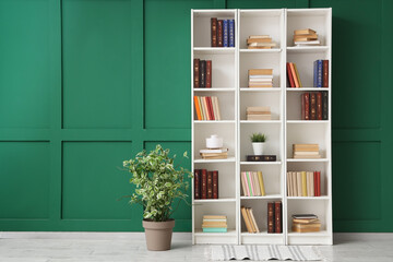Bookcase and houseplant near green wall in room