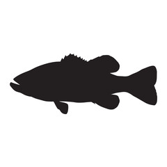 bass fish vector  silhouette illustrations