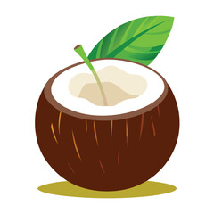Vector coconut isolated on a white background