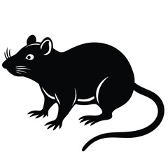 rat vector Illustrator 