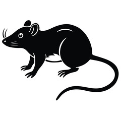 rat vector Illustrator 