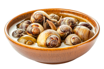 Close-up of snails in a wooden bowl, isolated on transparent PNG, gourmet food photography