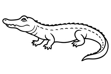 Crocodile Vector line art