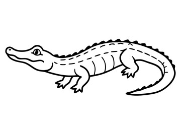 Crocodile Vector line art