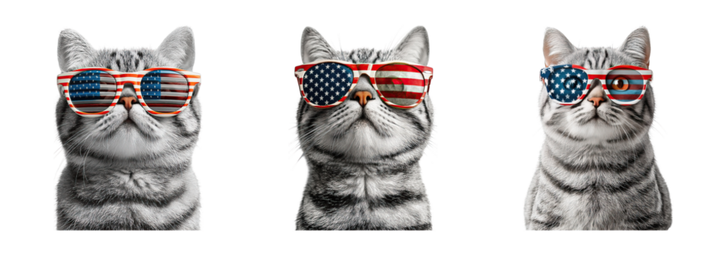 Patriotic American Short Hair cats in costumes wear American flag sunglasses showing playful and festive spirit perfect for national celebrations and holidays