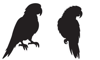 Parrot icon vector illustration art design
