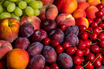 Fresh peaches, plums, cherries and grapes creating a colorful summer fruit composition