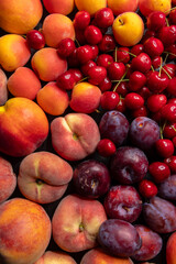 Fresh peaches, plums, cherries and apricots forming a colorful summer fruit composition