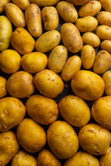 Many raw potatoes filling the frame creating a food background