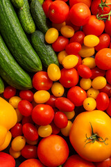 Freshly picked cucumbers, tomatoes and bell peppers creating a colorful composition