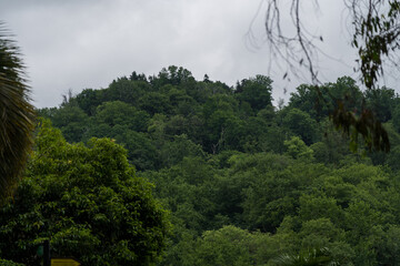 View of the botanical garden in Georgia, from a height