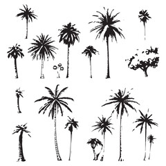 Fototapeta premium Collection of black and white palm tree silhouettes