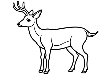 Fototapeta premium Elegant Deer Outline Vector