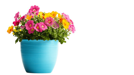 A colorful flower pot, white background --ar 16:9