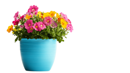 A colorful flower pot, white background --ar 16:9