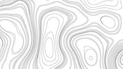 Fototapeta premium Topographic contour map. similarcartography illustration. Topography and geography map grid abstract backdrop. 
