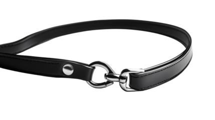 A sleek dog leash, white background --ar 16:9