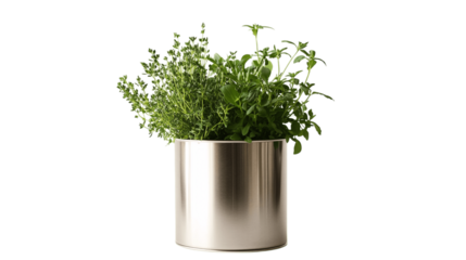 A stainless steel herb plant, white background --ar 16:9