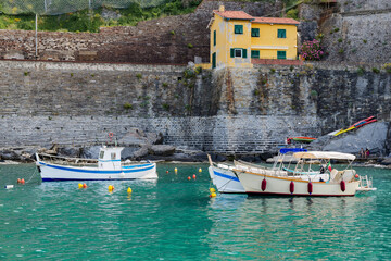 boats in the harbor
