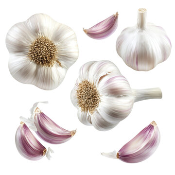 Vibrant Garlic Bulbs A Colorful Still Life