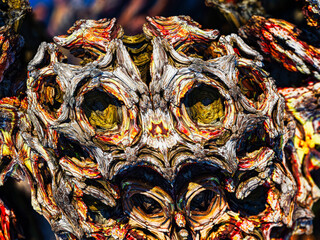 Colorful Abstract Fractal Design