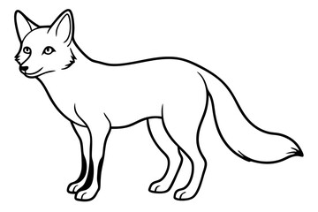 Fototapeta premium Elegant Fox Line Art