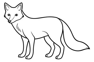 Elegant Fox Line Art