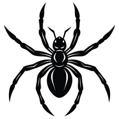 spider vector sihouette
