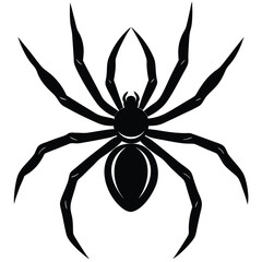 spider vector sihouette