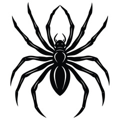 spider vector sihouette
