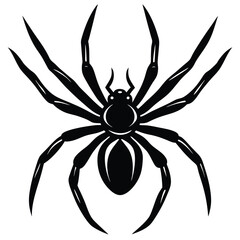 spider vector sihouette