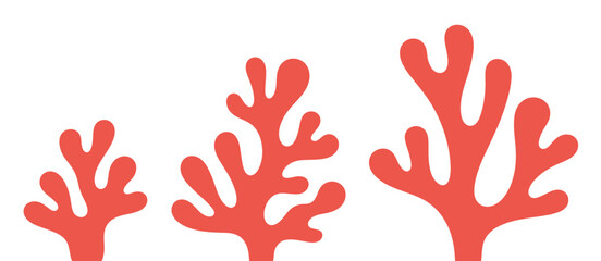 Three red coral reef plants growing stages illustration