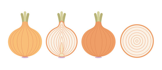 Illustration of onions whole halved and sliced