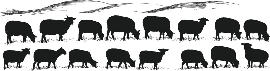 Rural Countryside Landscape with Grazing Sheep Silhouettes, Rolling Hills Background, Peaceful Farm Animal Scene, Vector Graphics for Agriculture and Nature Designs.