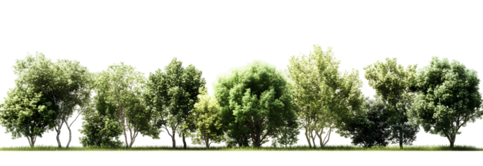 Lush green trees in a horizontal row isolated on black background for design