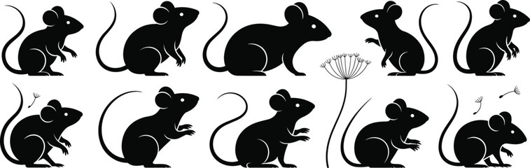 Set of black silhouette mice poses, vector illustration with playful action, rodents, tail, paws, whiskers, mouse graphic, wildlife clipart, animal behavior icons, and dandelion flower