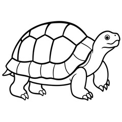Geometric Tortoise Vector