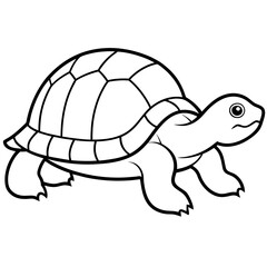 Geometric Tortoise Vector