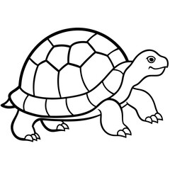 Geometric Tortoise Vector