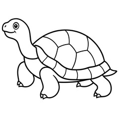 Geometric Tortoise Vector
